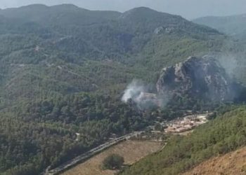 Marmaris’te orman yangını