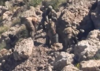 İngiliz parlamenter Moyle: Türkiye’nin kimyasal silah kullanımı araştırılmalı