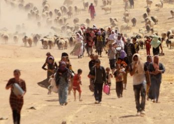 Fermanda yüzlerce Êzidîyi kurtaran Şêxo: Sadece PKK’ye inanıyorlardı
