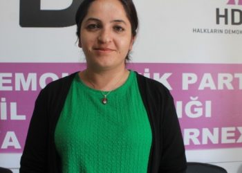 HDP Şırnak İl Eşbaşkanı gözaltına alındı