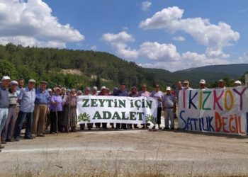 79 kuruluştan ortak açıklama: Zeytinlikler maden sahası yapılamaz
