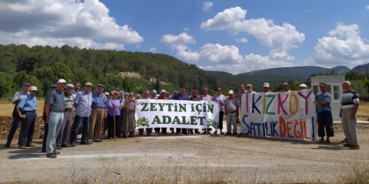 79 kuruluştan ortak açıklama: Zeytinlikler maden sahası yapılamaz