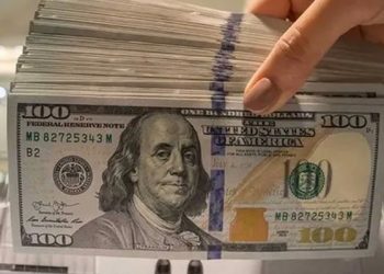 ABD doları 20 yılın zirvesinde