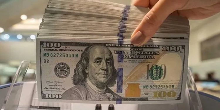 ABD doları 20 yılın zirvesinde