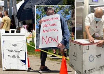 ABD'nin Kalifornia ve Illinois eyaletlerinde 'maymun çiçeği' nedeniyle acil durum ilan edildi