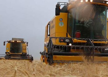 AKP'li vekiller: Üretici elektrik kesintileri nedeniyle zor durumda, sahada bu konuda sıkıntı yaşıyoruz