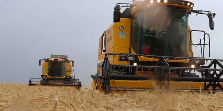 AKP'li vekiller: Üretici elektrik kesintileri nedeniyle zor durumda, sahada bu konuda sıkıntı yaşıyoruz