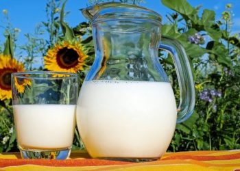 Adana Çiftçiler Birliği Başkanı uyardı: Çiğ süt krizi kapıda