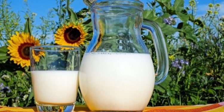 Adana Çiftçiler Birliği Başkanı uyardı: Çiğ süt krizi kapıda