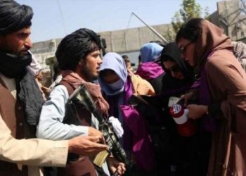 Afgan Aktivist Kohistani: Afganistan terör örgütüne teslim edildi