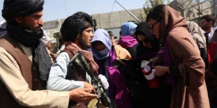 Afgan Aktivist Kohistani: Afganistan terör örgütüne teslim edildi