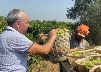 Ahmet Vehbi Bakırlıoğlu: 27 lira kurum üzüm fiyatı ile ancak 1 litre mazot alınabiliyor