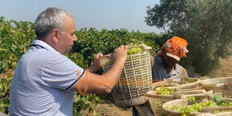 Ahmet Vehbi Bakırlıoğlu: 27 lira kurum üzüm fiyatı ile ancak 1 litre mazot alınabiliyor