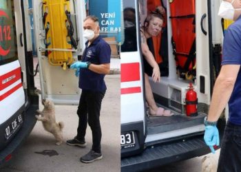 Ambulansta müdahale edildi, köpeği bir an olsun bile yanından ayrılmadı