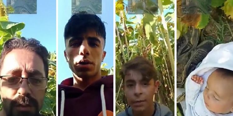 Aralarında bebek ve çocuklar da var: Meriç’i geçen sığınmacılardan Yunanistan’a sığınma talebi