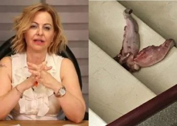 Aşı karşıtları, Prof. Dr. Şenol'un ofisinin önünde 'dana dili' bıraktı