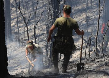 Azerbaycan'da 5 günde 5 bin hektar arazi yandı