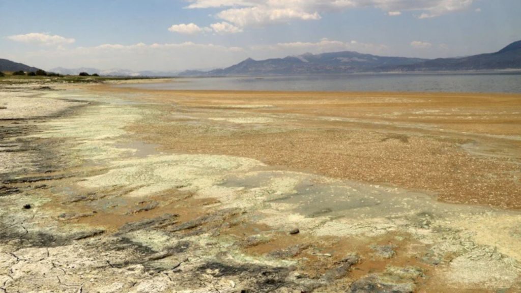 Burdur Gölü’nde yeniden alg patlaması: ‘Göl tamamen kuruyabilir’