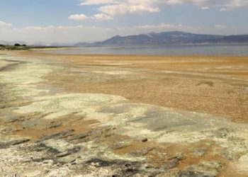 Burdur Gölü’nde yeniden alg patlaması: ‘Göl tamamen kuruyabilir’