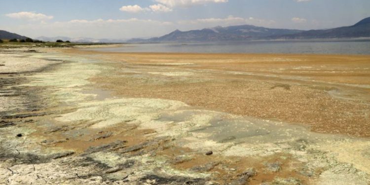 Burdur Gölü’nde yeniden alg patlaması: ‘Göl tamamen kuruyabilir’