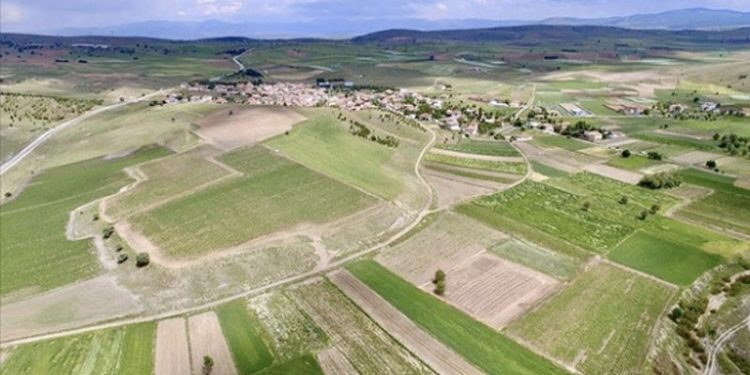 Çiftçi borç altında: 1.2 milyon arazi bankalara rehin verildi