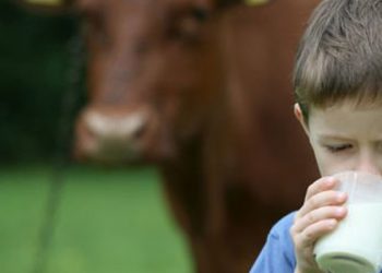Çiftçiler Birliği Başkanı: Türkiye yakında çiğ süt kriziyle karşı karşıya kalabilir
