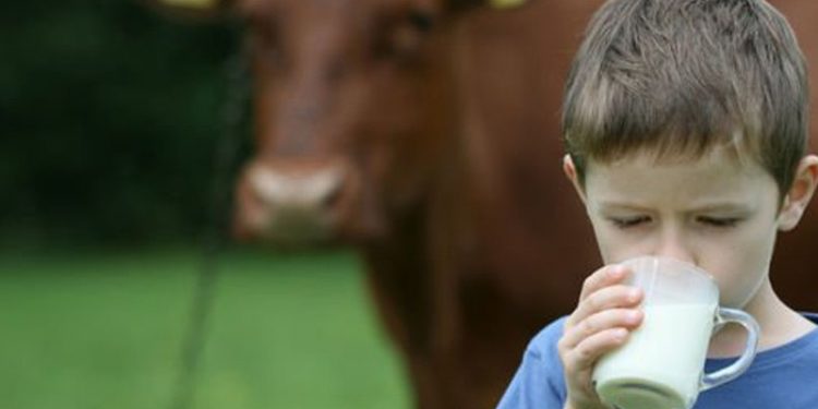 Çiftçiler Birliği Başkanı: Türkiye yakında çiğ süt kriziyle karşı karşıya kalabilir