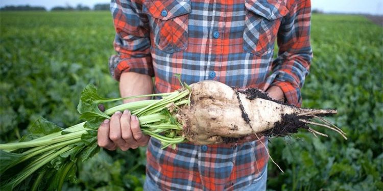 Çiftçinin enflasyonunda yeni rekor geldi