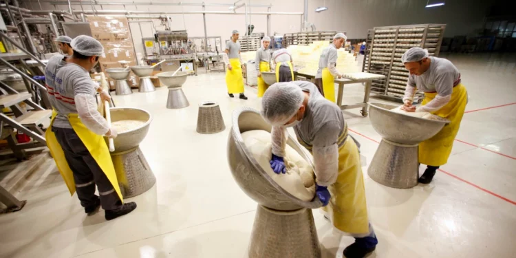 Türkiye’de İşsizlik de İstihdam da Düşüyor