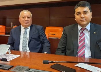 Demokrat Parti: Cemal Enginyurt ihraç edilmeyecek