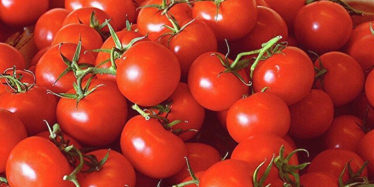 'Domatesin fiyatı bu kış 50 lirayı bulabilir' dedi, nedenlerini tek tek sıraladı