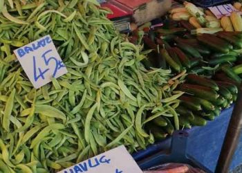 ENAG: Yıllık enflasyon yüzde 176
