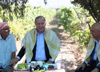 Erdoğan, kuru &uuml;z&uuml;m alım fiyatını a&ccedil;ıkladı
