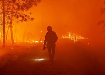 Fransa’nın Korsika Adası'ndaki yangında 450 hektarlık yeşil alan zarar gördü