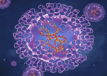 Gana'da maymun çiçeği virüsünden ilk ölüm kayıtlara geçti