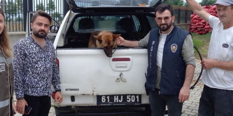 Gençlere biber gazı sıkan bekçiyi ısıran köpek 2 gün gözaltında tutuldu