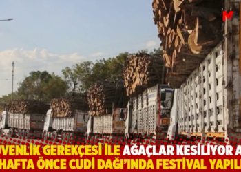 "G&uuml;venlik gerek&ccedil;esi ile ağa&ccedil;lar kesiliyor ama iki hafta &ouml;nce Cudi Dağı&rsquo;ında festival yapıldı"