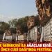 "Güvenlik gerekçesi ile ağaçlar kesiliyor ama iki hafta önce Cudi Dağı’ında festival yapıldı"