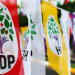 HDP’li eşbaşkan Hasak Özek tutuklandı