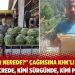 Herkes soruyor savcılar nerede? Kimi hücrede, kimi sürgünde, kimi pazarda