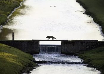 Hükümeti su sıkıntısına karşı 'Ulusal Su Kıtlığı İdaresi'ni kurdu