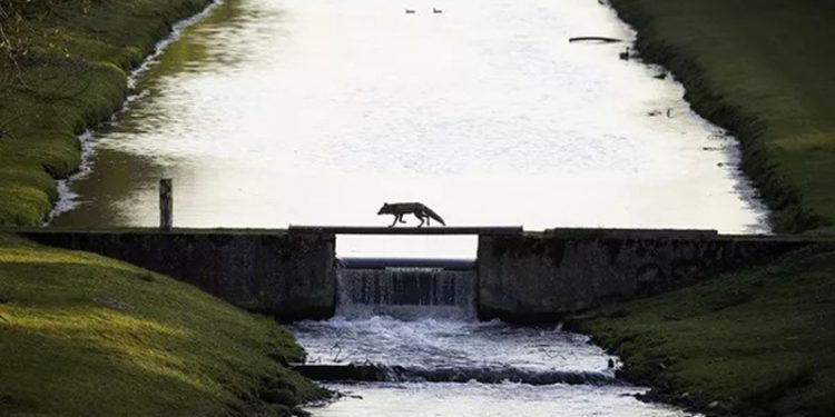 Hükümeti su sıkıntısına karşı 'Ulusal Su Kıtlığı İdaresi'ni kurdu