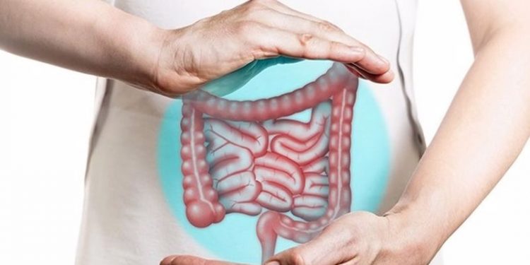 'İkinci beyin' olarak adlandırılan bağırsaklar için uyarı: Hazır gıdalardan uzak durun, organik beslenin