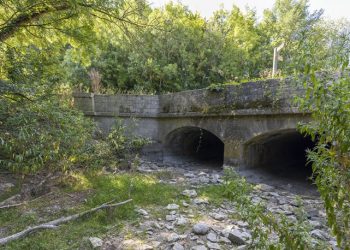 İngiltere'de Thames Nehri'nin kaynağı kuruyor