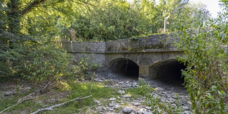 İngiltere'de Thames Nehri'nin kaynağı kuruyor