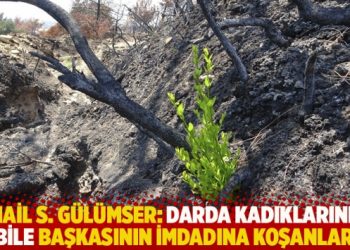 İsmail S. G&uuml;l&uuml;mser'in yazısı: Darda kadıklarında bile başkasının imdadına koşanlar