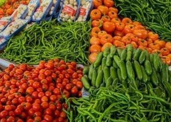 İstanbul'da temmuz ayının zam şampiyonu biber