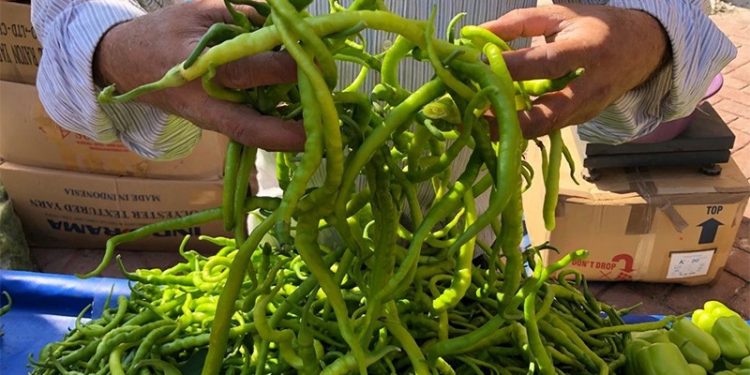 İstanbul'un temmuz ayı zam şampiyonları belli oldu