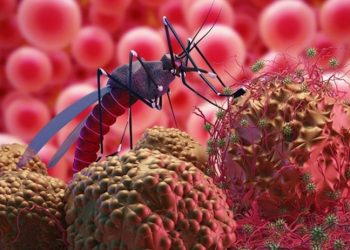 İtalya'da Batı Nil Virüsü vakası 94 kişiye ulaştı