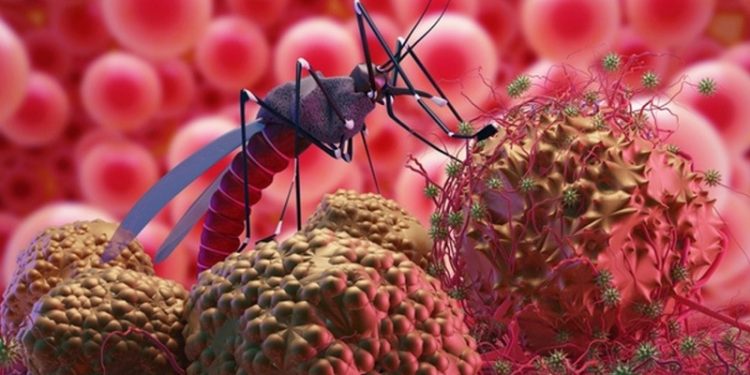 İtalya'da Batı Nil Virüsü vakası 94 kişiye ulaştı